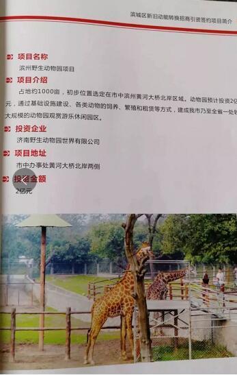 厲害了我的大濱州，15個招商引資項(xiàng)目集中簽約！